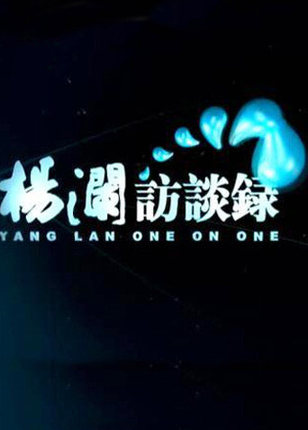 杨澜访谈录 2013封面图