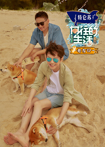 向往的生活6 老友记封面图