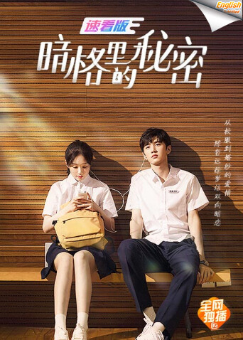 暗格里的秘密速看版  英语版字幕封面图
