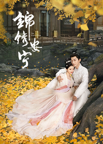 锦绣安宁封面图