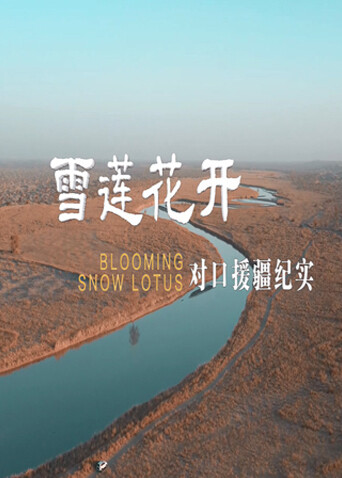 雪莲花开——对口援疆纪实