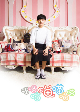 喵喵喵喵喵喵喵封面图