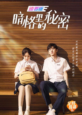 暗格里的秘密速看版封面图