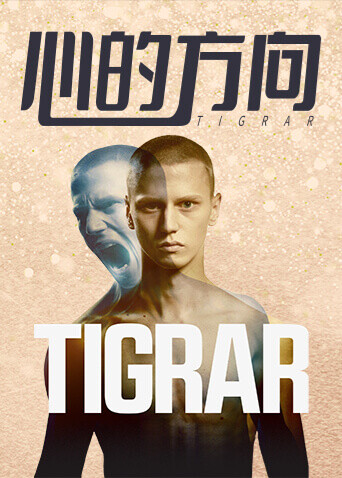 心的方向封面图