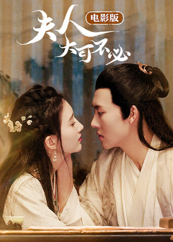 夫人大可不必封面图
