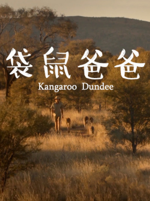 袋鼠爸爸封面图