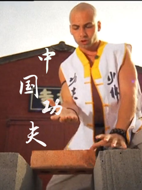 拳打脚踢中国功夫封面图