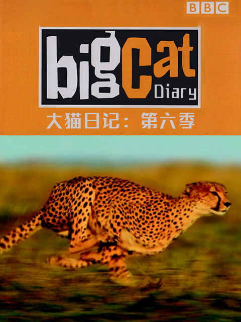 大猫日记 第六季封面图
