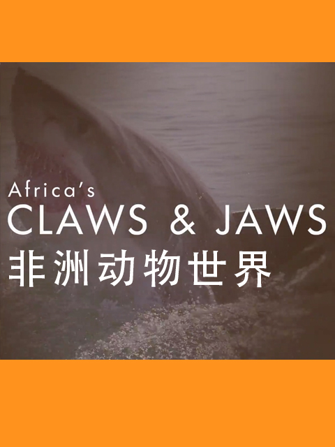 非洲动物世界封面图