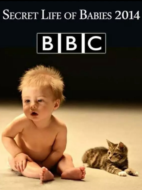婴儿的秘密生活封面图