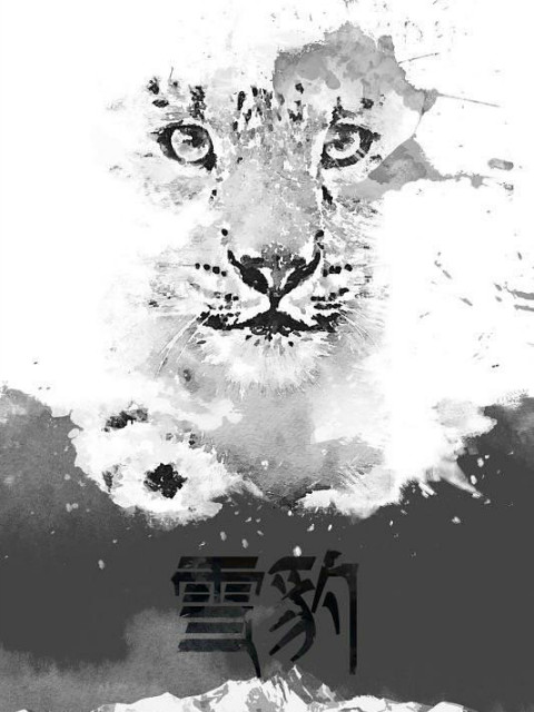雪豹国际版封面图