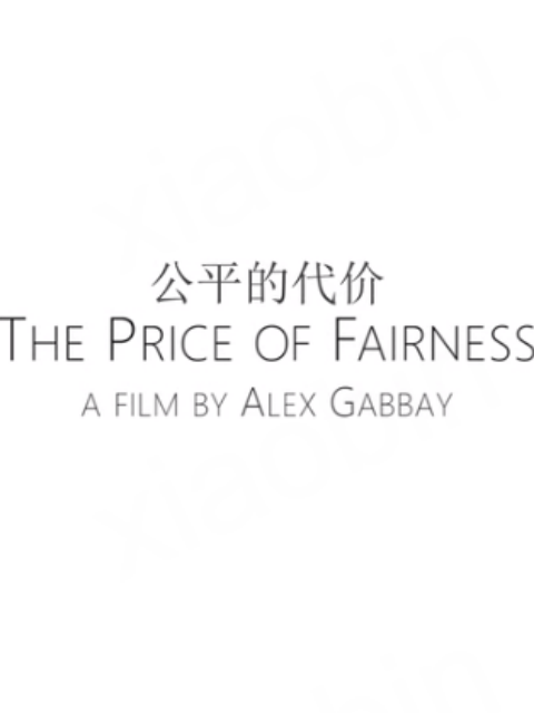公平的代价封面图