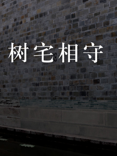 美成在久 树宅相守封面图