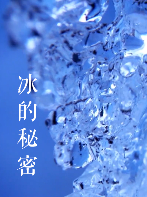 冰的秘密封面图