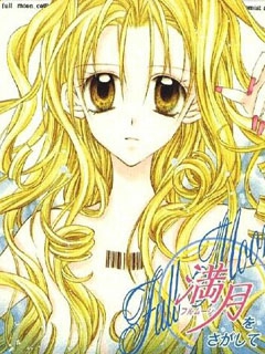 寻找满月封面图