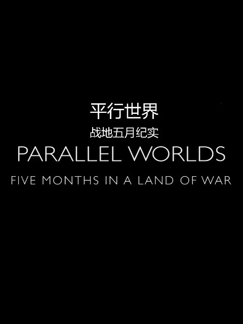 平行的世界封面图