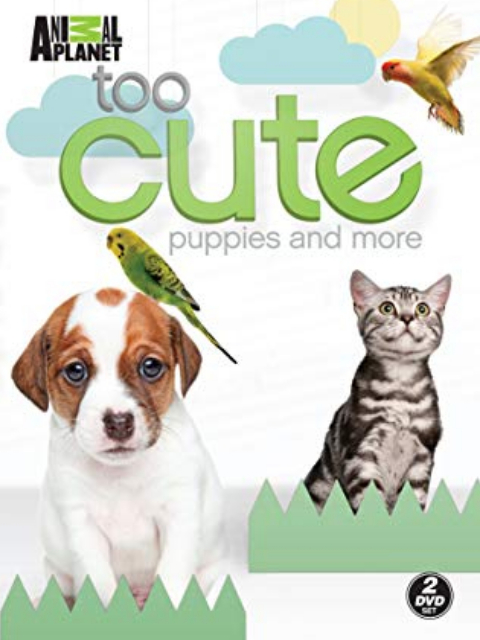 萌宠成长记 第二季封面图