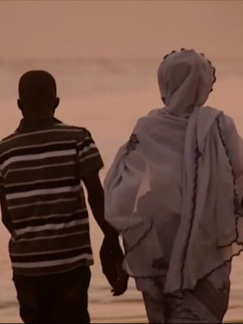 巧克力-苦的真相封面图