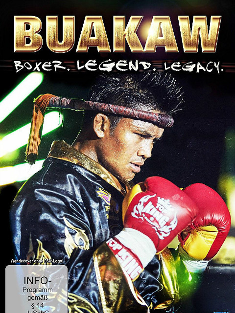 播求传奇封面图