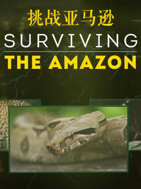 挑战亚马逊封面图