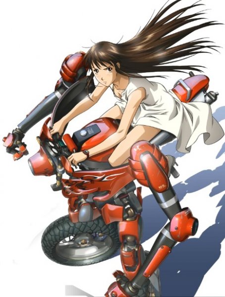 背骑少女封面图