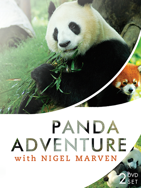 马文的熊猫王国历险记封面图