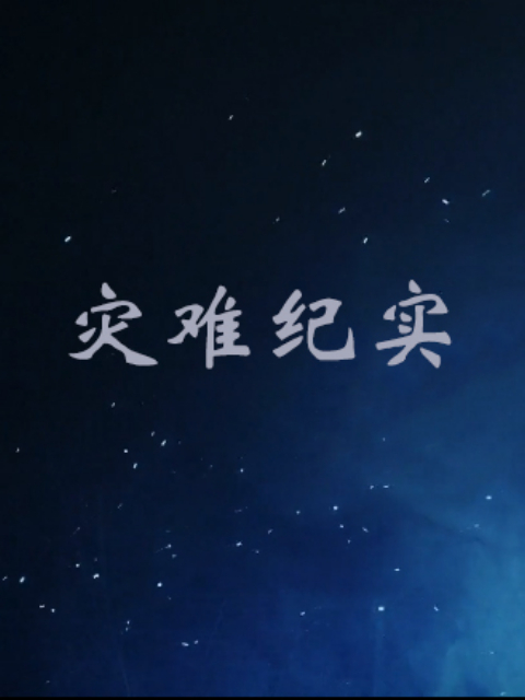 灾难纪实封面图