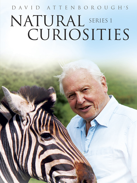 大卫·爱登堡的自然奇迹 第一季封面图