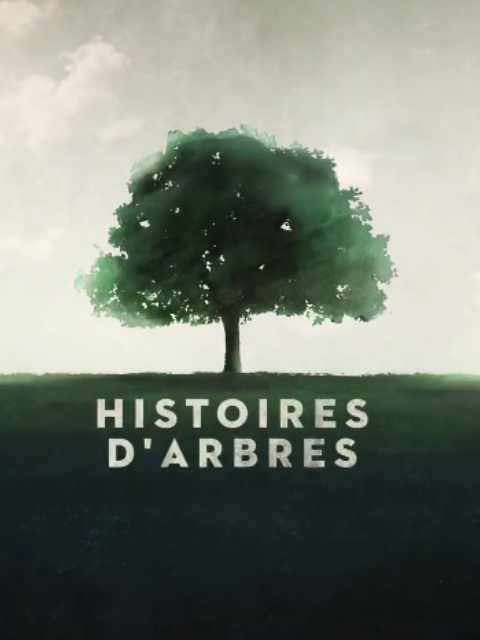 两棵树 两个幸存者封面图