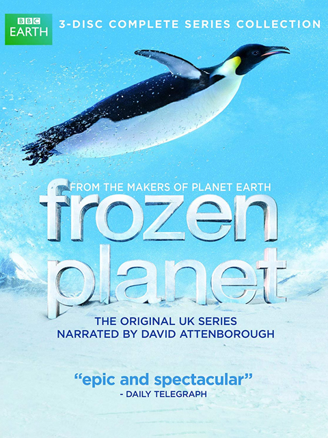 冰冻星球：史诗之旅封面图