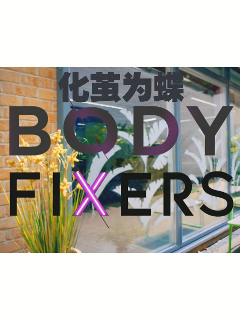 化茧成蝶封面图