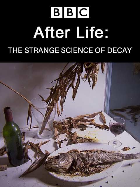 生命循环：奇异的腐烂科学封面图