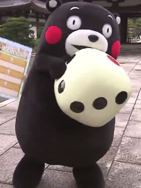 与熊本熊的熊本相遇之旅封面图