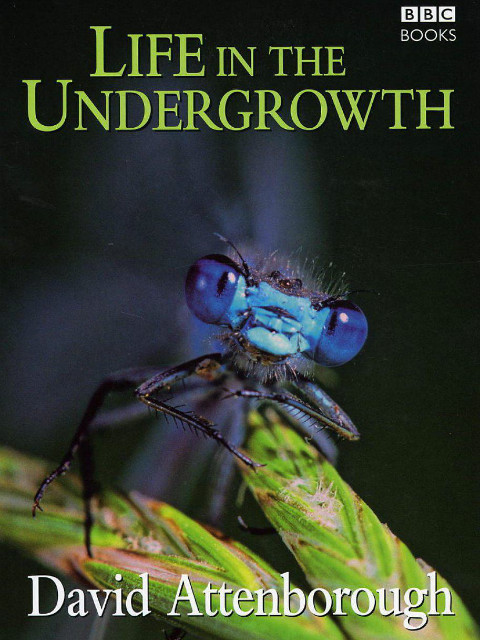 林下生命封面图