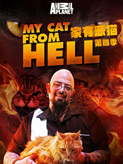 家有恶猫 第四季封面图
