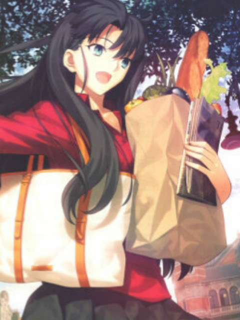 Fate/stay night [Unlimited Blade Works] 特典封面图