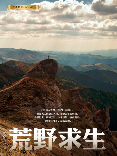 荒野生存封面图