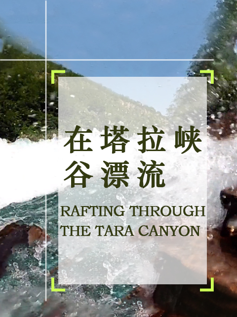 在塔拉峡谷漂流封面图