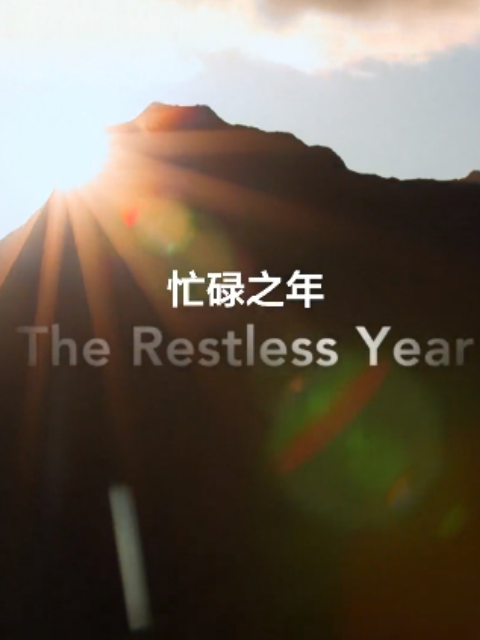 忙碌之年封面图