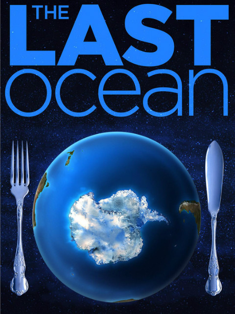 最后的海洋封面图