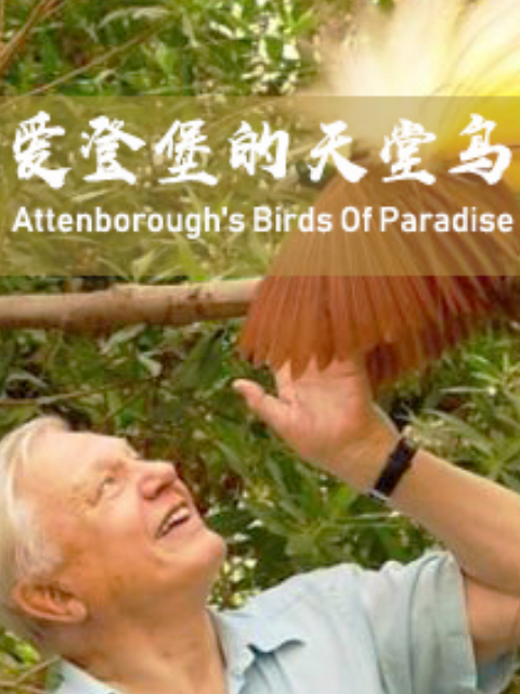 爱登堡的天堂鸟封面图