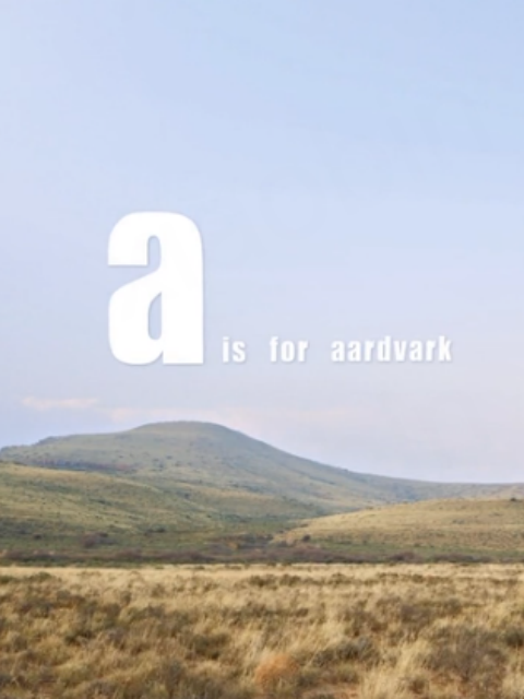 追寻土豚之旅封面图