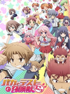 笨蛋，测验，召唤兽2封面图