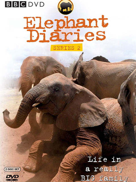 大象日记 第二季封面图