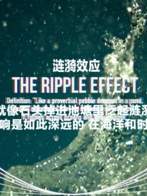 涟漪效应 第二季封面图
