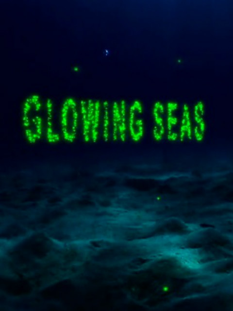 发光的海洋封面图