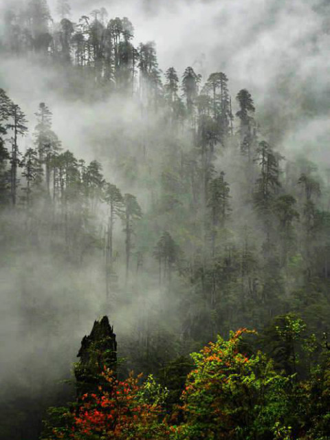 墨脱公路封面图