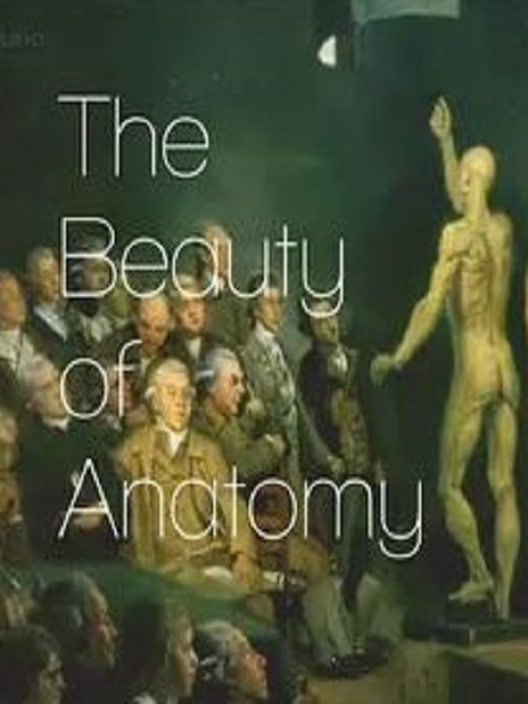 解剖之美封面图