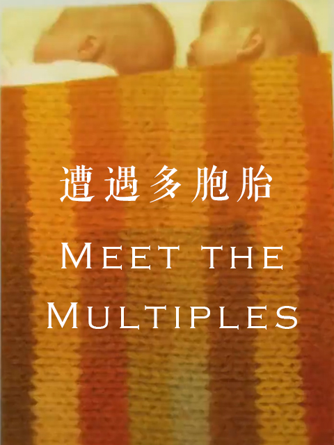 遭遇多胞胎封面图