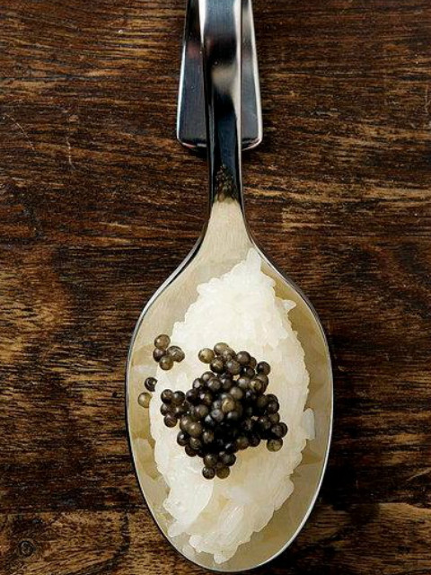 无价之鱼封面图